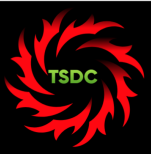 Texas Storm Dispatch Consultants Logo